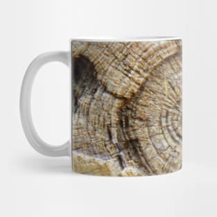 Sun Bleached Log Mug